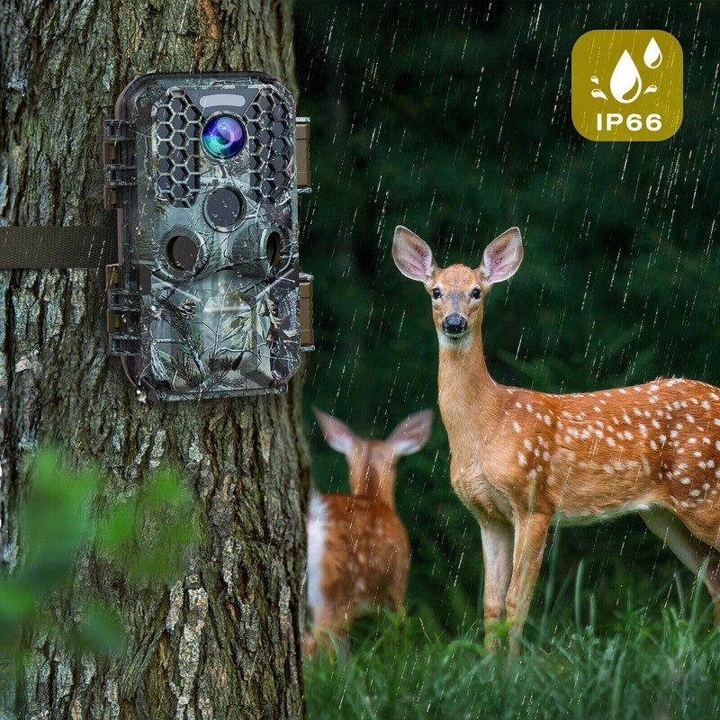 Wildlife Hunting Trail Camera Solar Powered Night Vision Motion Waterproof Cam gallery