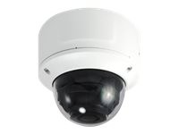 LevelOne FCS-3096 Network surveillance camera dome outdoor, FCS-3096