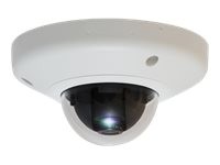 LevelOne FCS-3054 Network surveillance camera dome vandal-proof FCS-3054