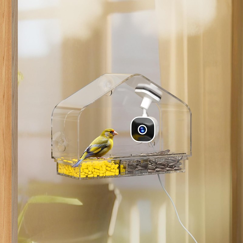 Richbird Smart Window Bird Feeder Camera with AI, Modern Design for Panoramic Vi