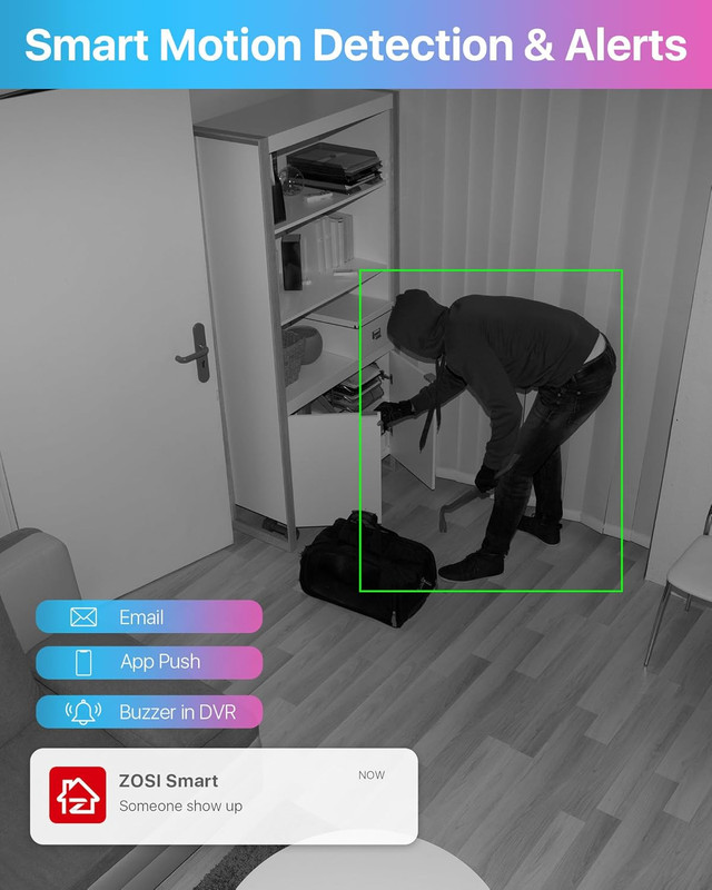 1080P Home Security Cameras System with AI Human/Vehicle Detection,H.265+ 8CH CC gallery